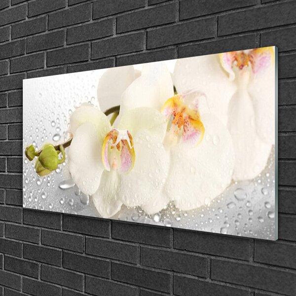 Tablou pe sticla Flori Floral Alb Gri