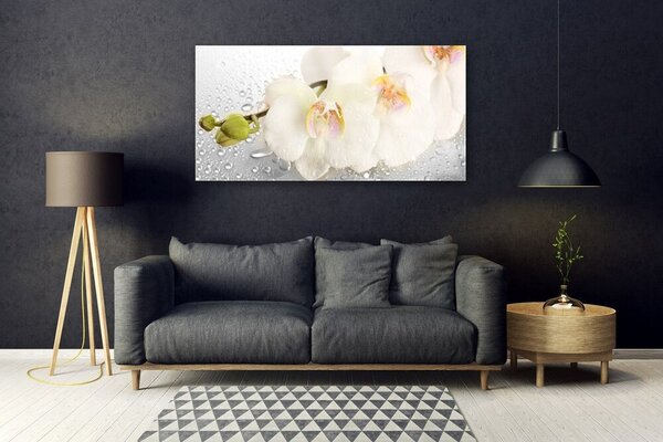 Tablou pe sticla Flori Floral Alb Gri