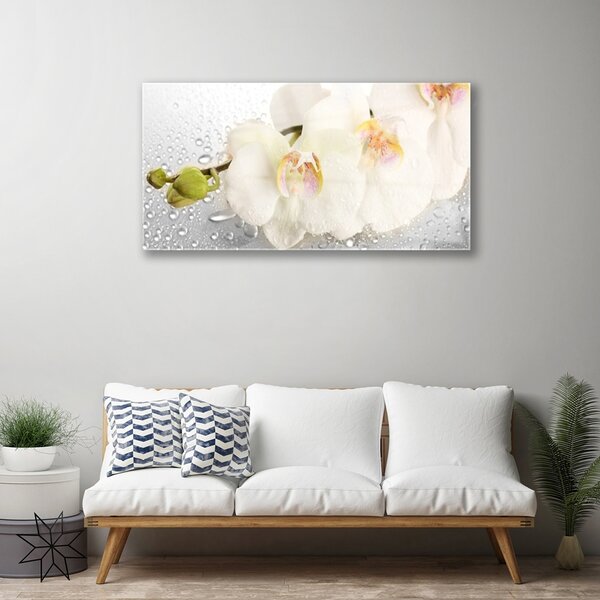Tablou pe sticla Flori Floral Alb Gri