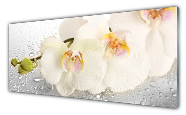 Tablou pe sticla Flori Floral Alb Gri