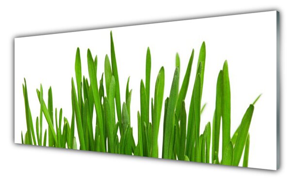 Panou sticla bucatarie Iarbă Floral Verde Alb