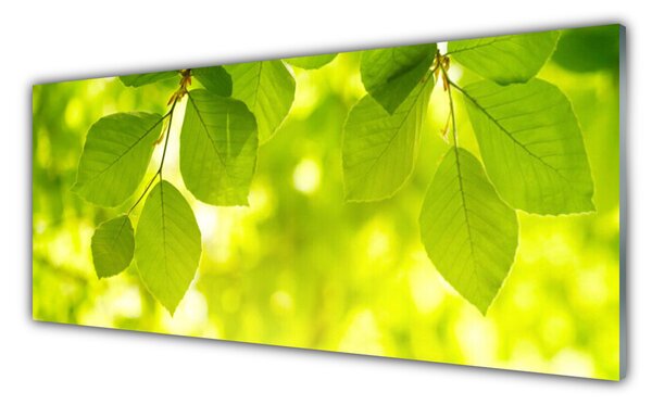 Tablou pe sticla Frunze verde florale