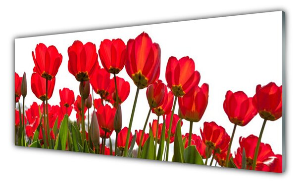 Tablou pe sticla Flori Floral Roșu Verde Alb