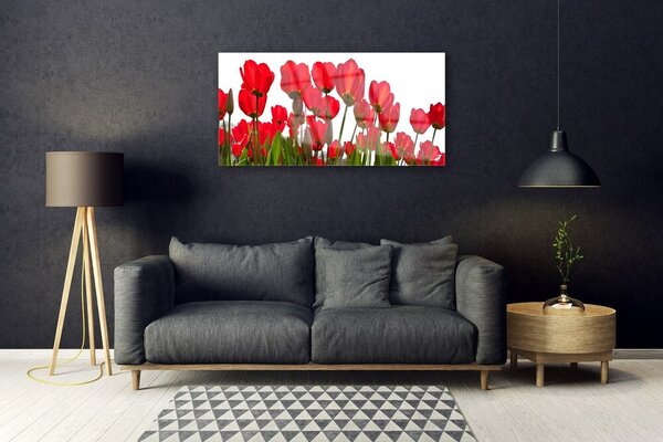Tablou pe sticla Flori Floral Roșu Verde Alb