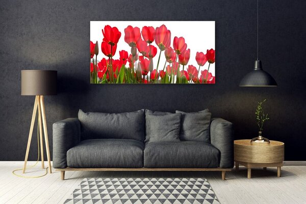 Tablou pe sticla Flori Floral Roșu Verde Alb