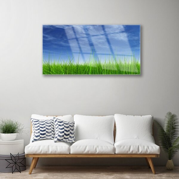 Tablou pe sticla Sky Grass Nature Albastru Verde
