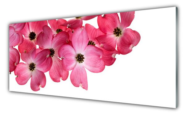 Tablou pe sticla Flori Floral Roz Alb