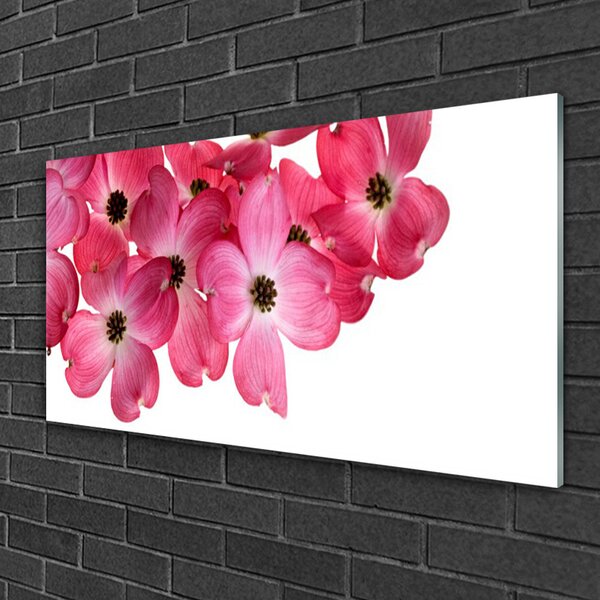 Tablou pe sticla Flori Floral Roz Alb