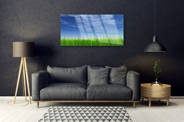 Tablou pe sticla Sky Grass Nature Albastru Verde