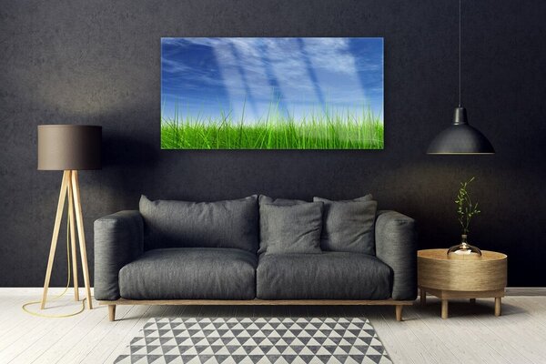 Tablou pe sticla Sky Grass Nature Albastru Verde
