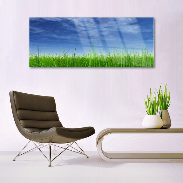Tablou pe sticla Sky Grass Nature Albastru Verde