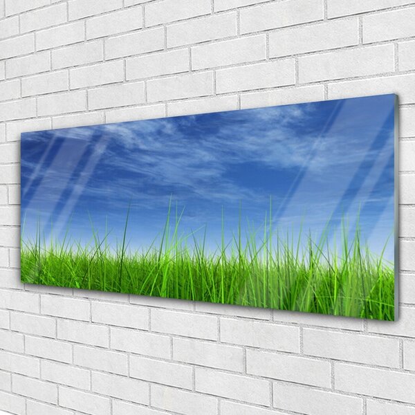 Tablou pe sticla Sky Grass Nature Albastru Verde