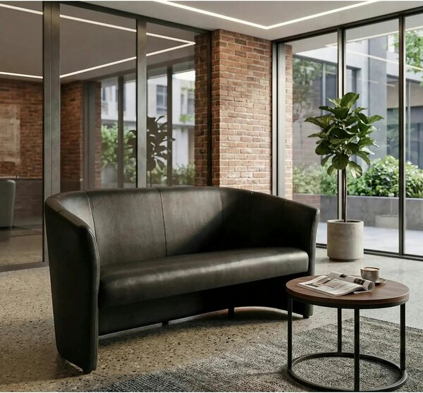 Canapea TM-3, negru, piele ecologica, 160x60x76 cm