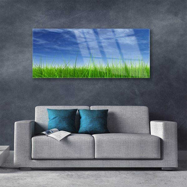 Tablou pe sticla Sky Grass Nature Albastru Verde