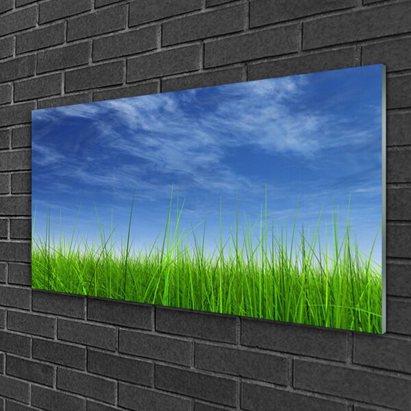 Tablou pe sticla Sky Grass Nature Albastru Verde