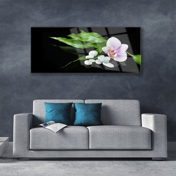 Tablou pe sticla Pietrele de flori Frunze Floral Alb Roz Verde Negru