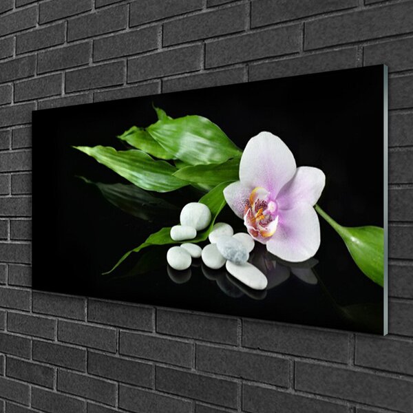 Tablou pe sticla Pietrele de flori Frunze Floral Alb Roz Verde Negru