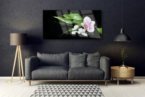 Tablou pe sticla Pietrele de flori Frunze Floral Alb Roz Verde Negru