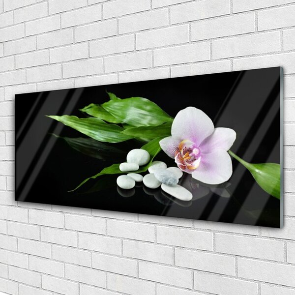 Tablou pe sticla Pietrele de flori Frunze Floral Alb Roz Verde Negru