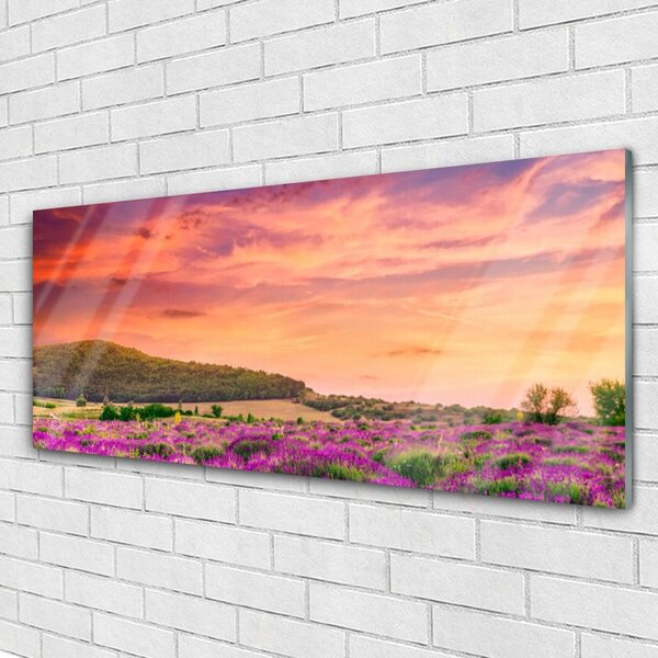 Tablou pe sticla Meadow Flori Peisaj Purple Verde Roz