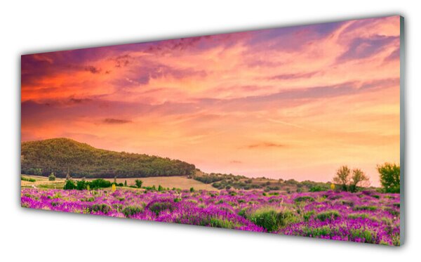Tablou pe sticla Meadow Flori Peisaj Purple Verde Roz