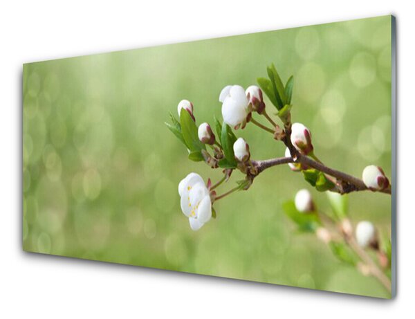 Panou sticla bucatarie Flori Floral Verde Alb
