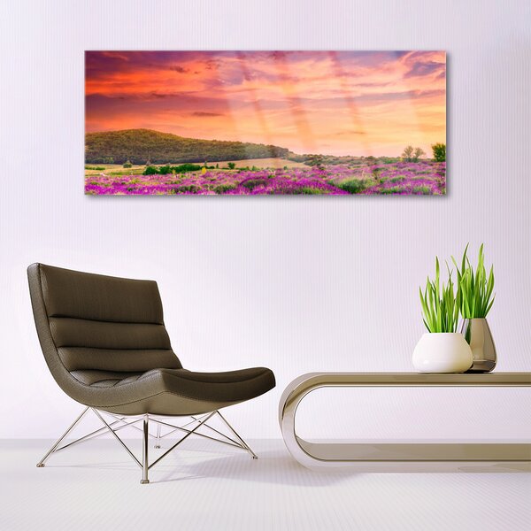 Tablou pe sticla Meadow Flori Peisaj Purple Verde Roz