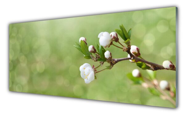 Panou sticla bucatarie Flori Floral Verde Alb