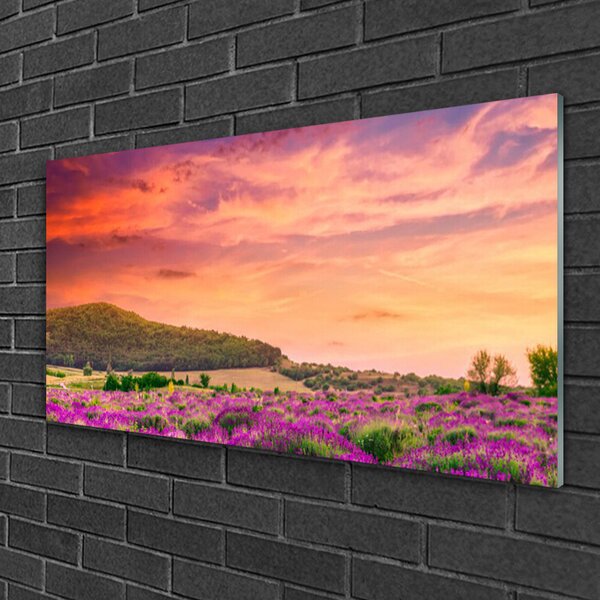 Tablou pe sticla Meadow Flori Peisaj Purple Verde Roz