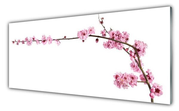 Tablou pe sticla Flori Floral Roz Alb