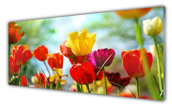 Tablou pe sticla Flori Floral Rosu Galben Roz Verde