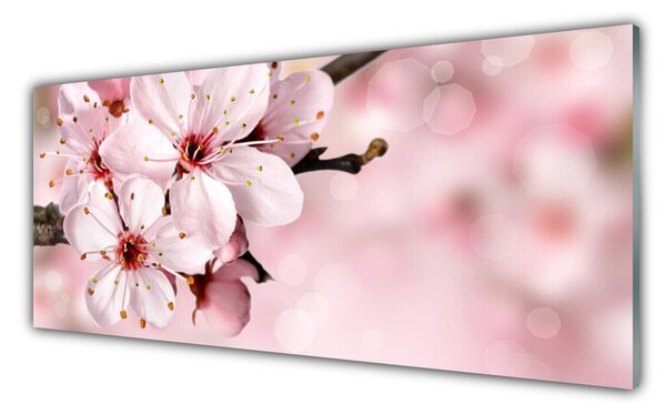 Tablou pe sticla Flori roz Floral
