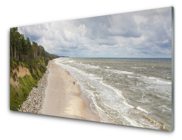 Panou sticla bucatarie Sea Beach copac Natura Gri Verde Alb