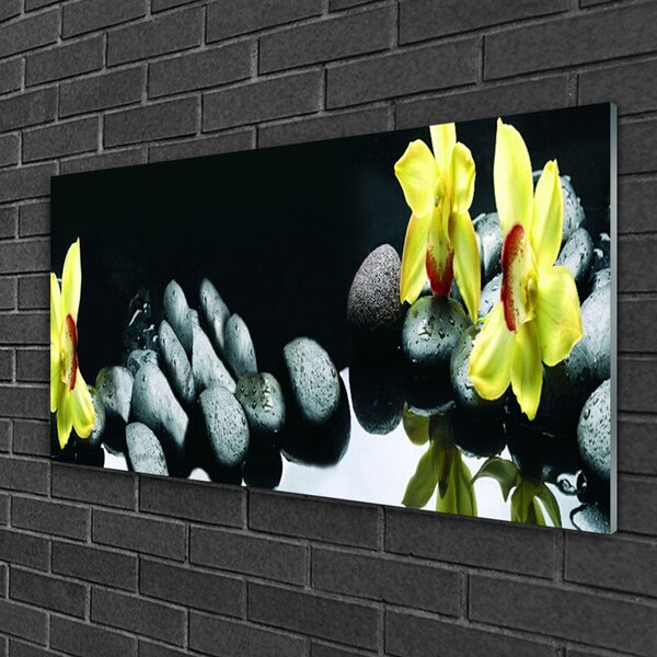 Tablou pe sticla Pietrele florale flori galben negru