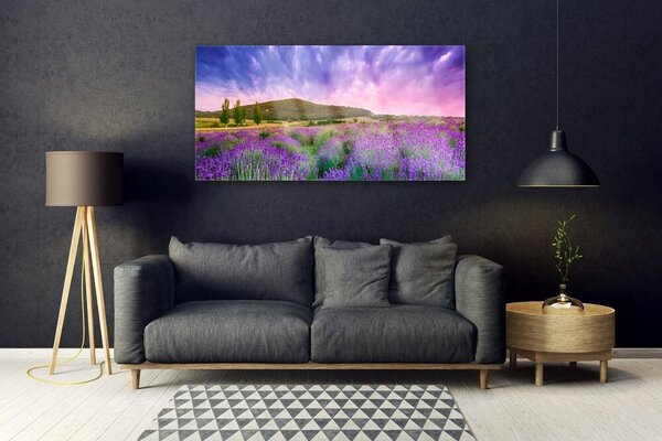 Tablou pe sticla Meadow Munții Flori Natura Verde Violet Albastru Roz