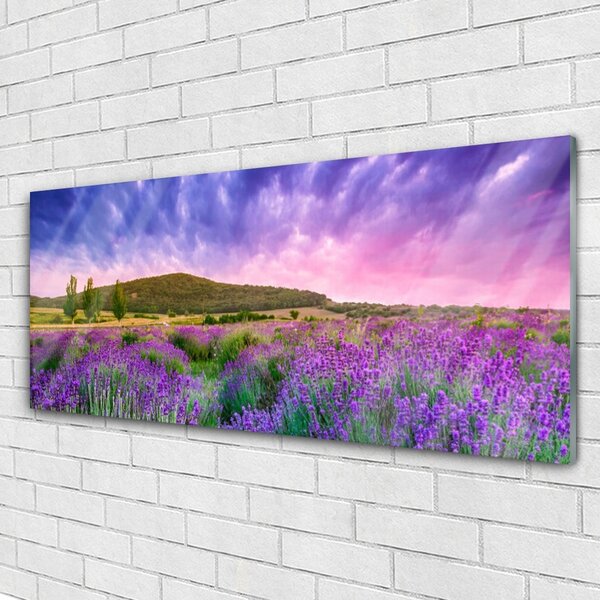 Tablou pe sticla Meadow Munții Flori Natura Verde Violet Albastru Roz