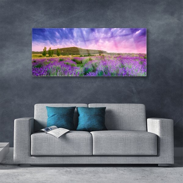 Tablou pe sticla Meadow Munții Flori Natura Verde Violet Albastru Roz