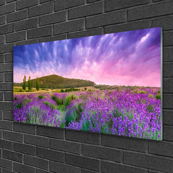 Tablou pe sticla Meadow Munții Flori Natura Verde Violet Albastru Roz