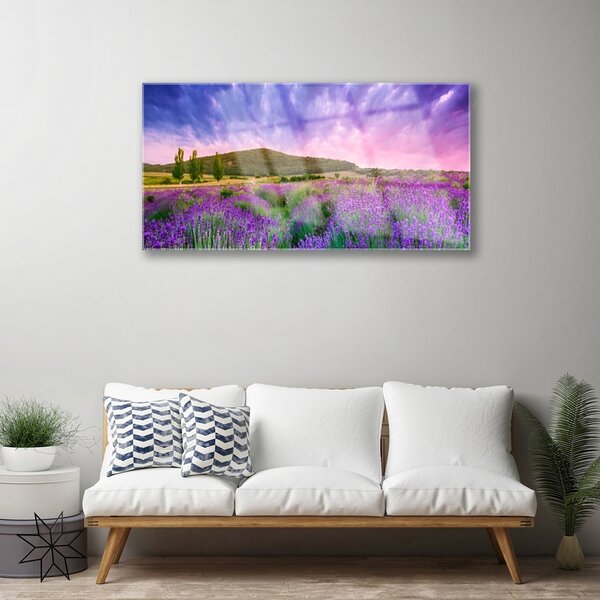 Tablou pe sticla Meadow Munții Flori Natura Verde Violet Albastru Roz