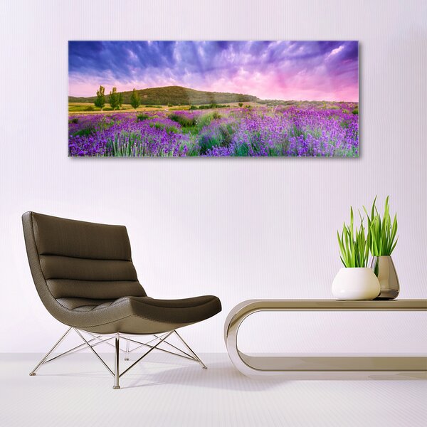 Tablou pe sticla Meadow Munții Flori Natura Verde Violet Albastru Roz