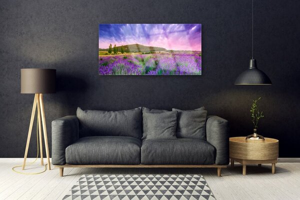 Tablou pe sticla Meadow Munții Flori Natura Verde Violet Albastru Roz