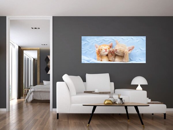 Tablou - Pisicuțe adormite (120x50 cm)
