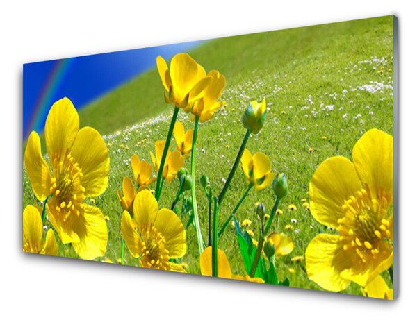 Panou sticla bucatarie Meadow Flori Rainbow Natura Galben Albastru Verde