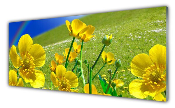 Panou sticla bucatarie Meadow Flori Rainbow Natura Galben Albastru Verde