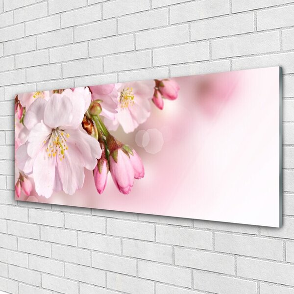 Tablou pe sticla Flori roz Floral