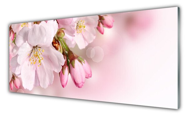 Tablou pe sticla Flori roz Floral