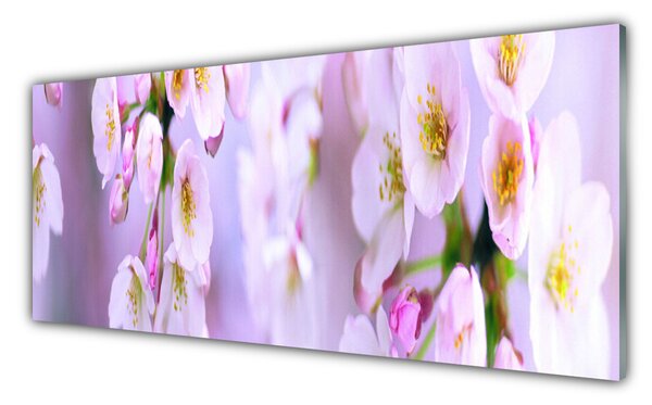 Panou sticla bucatarie Flori Floral Alb Violet