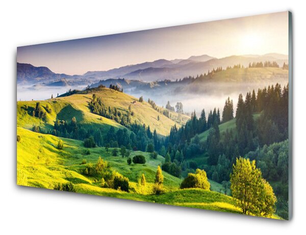 Panou sticla bucatarie Mountain Câmp Ceață Natura Verde Alb