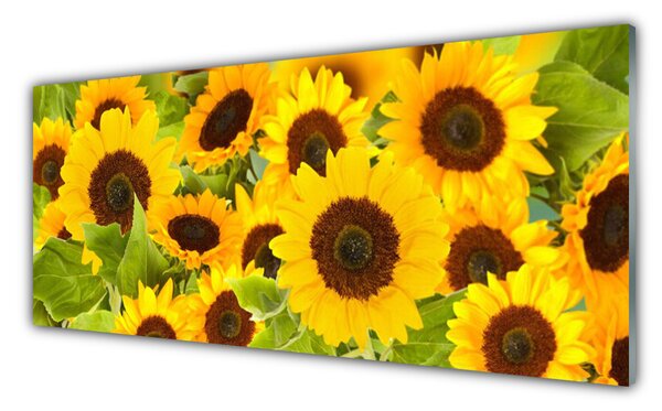 Panou sticla bucatarie Floarea soarelui Floral Galben Maro Verde