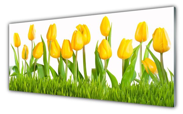 Tablou pe sticla Lalele Floral Galben Verde Alb